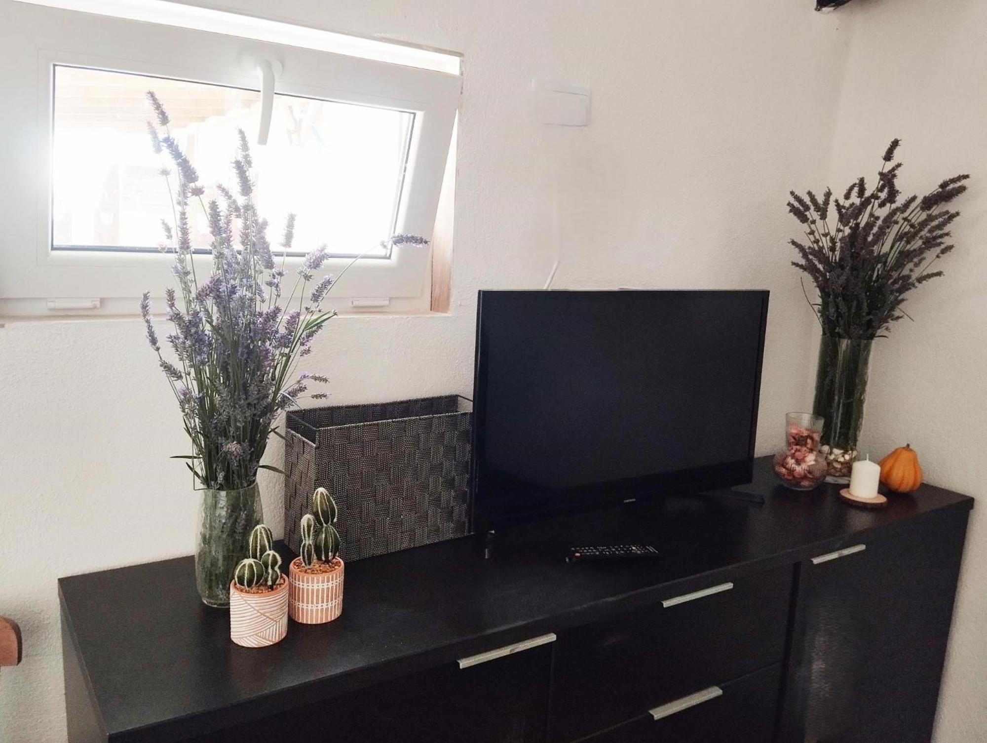 Kataenea. Apartamento En El Prepirineo Navarro. Naturaleza Aoiz Εξωτερικό φωτογραφία